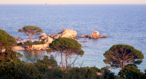 Corse du sud