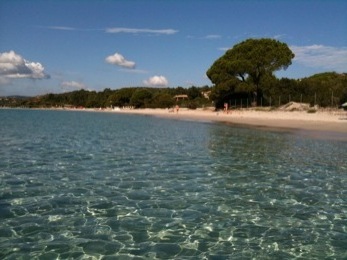 Plage Folaca, Corse