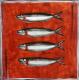 Les sardines : Artiste peintre Sophie Costa