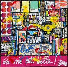 Tableau La vie est  belle ! : Artiste peintre Sophie Costa