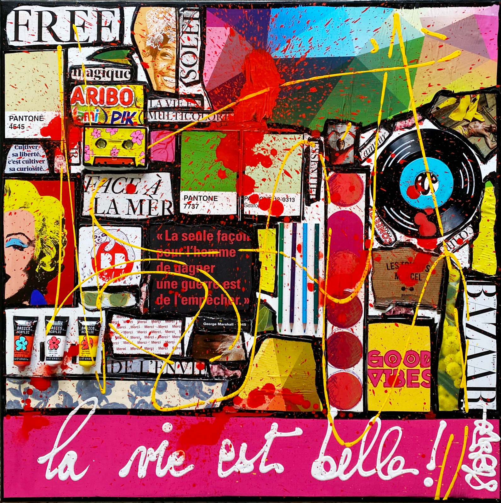 La vie est belle ! : tableau de Sophie Costa, artiste peintre collage, la vie est belle, multicolore Tableau Contemporain, La vie est belle !. Sophie Costa, artiste peintre.