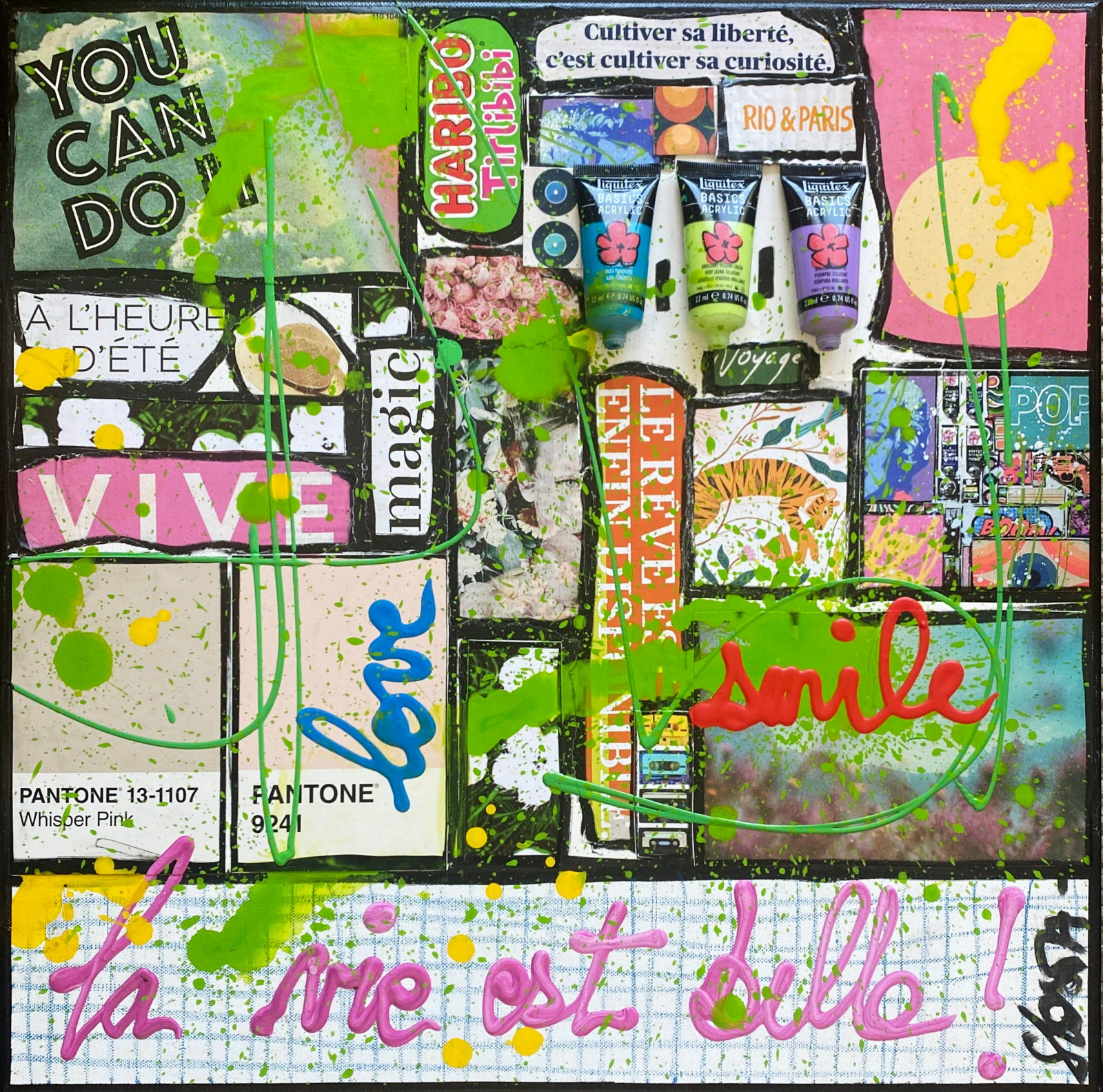 La vie est belle ! : tableau de Sophie Costa, artiste peintre collage, la vie est belle, multicolore Tableau Contemporain, La vie est belle !. Sophie Costa, artiste peintre.