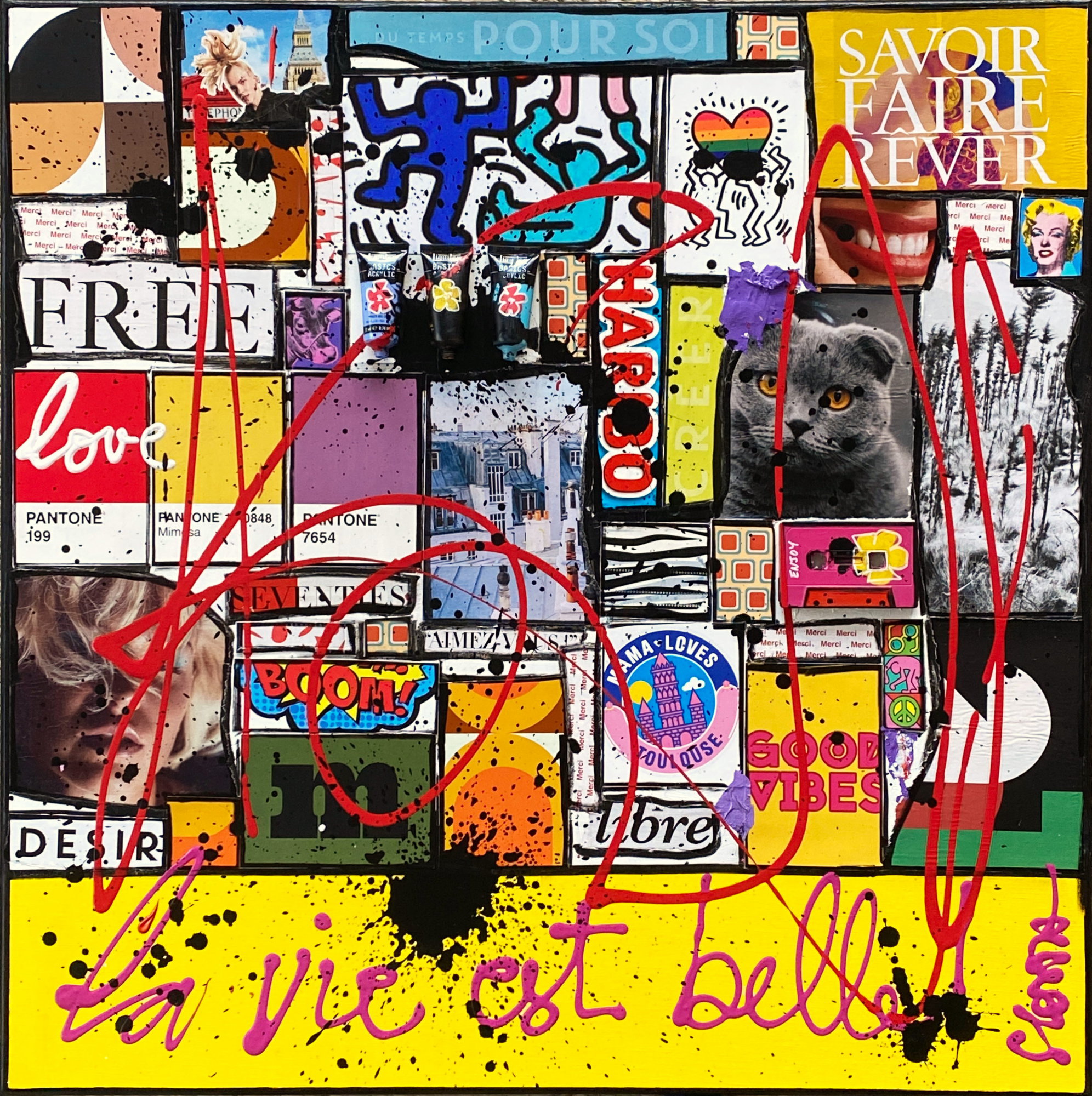 La vie est belle ! : tableau de Sophie Costa, artiste peintre collage, la vie est belle! Tableau Contemporain, La vie est belle !. Sophie Costa, artiste peintre.